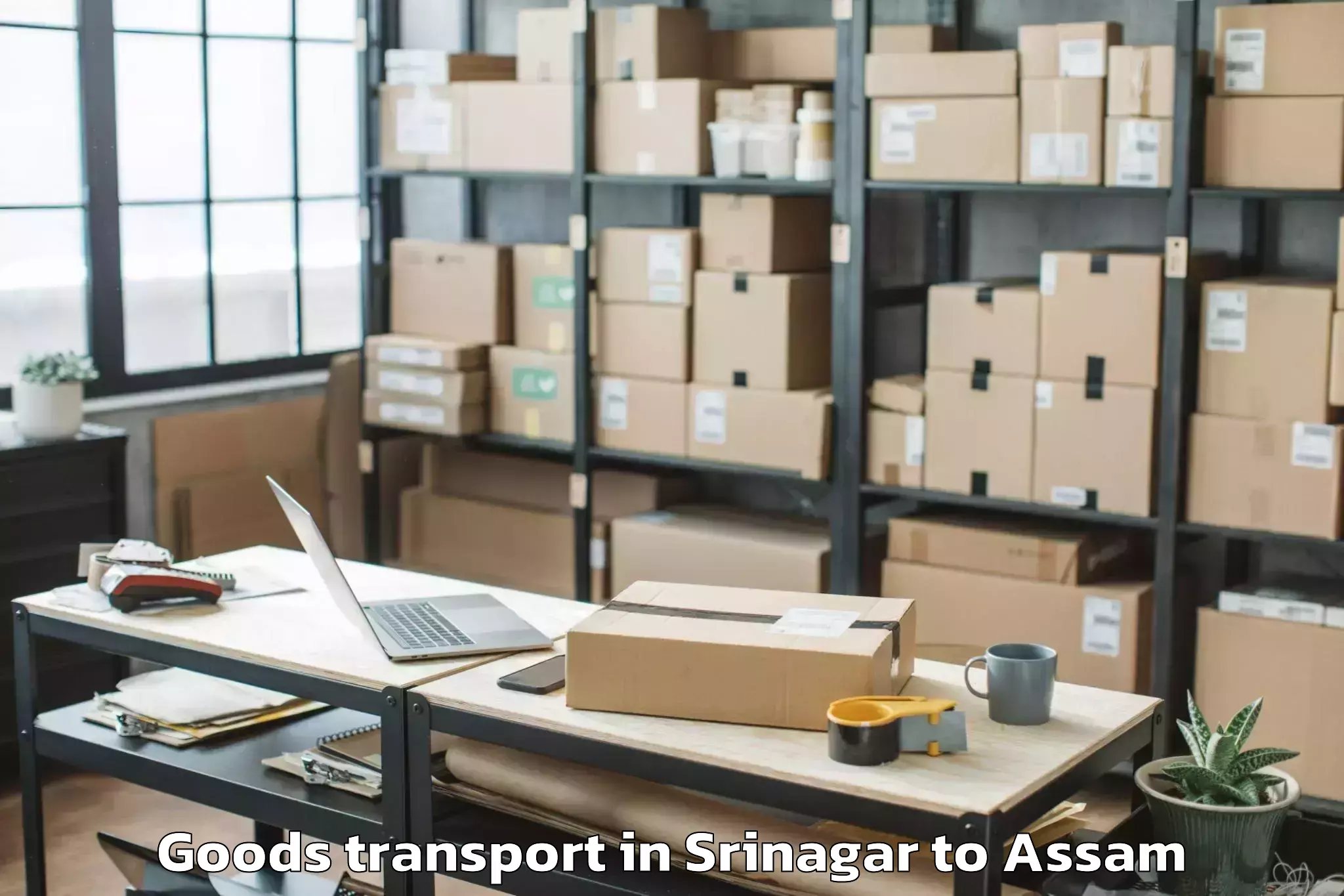 Hassle-Free Srinagar to Sipajhar Goods Transport